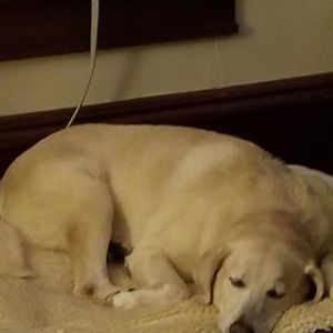 Meet your Posher, Beth